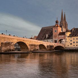 Regensburg im Abendlicht von Rainer Pickhard