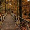 Blick durch eine Holzbrücke im Herbstwald von FotoBob