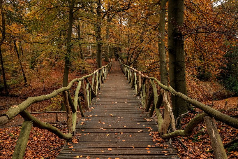 View through wooden bridge in autumn forest by FotoBob