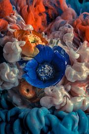 Spring Fire by Steffen Gierok