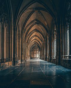 Echoes in Stone – Pandhof Domkerk, Utrecht