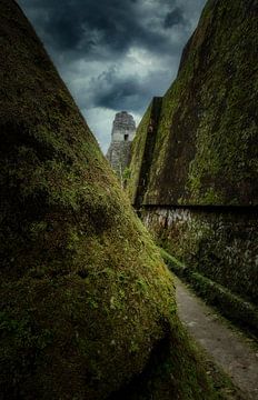 Ruines Tikal - Guatemala van Loris Photography