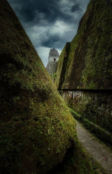 Tikal - mayan ruins par Loris Photography
