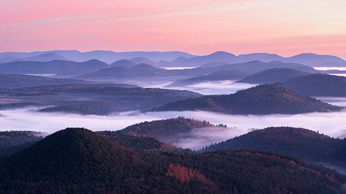 Mistzee in het Pfälzerwald