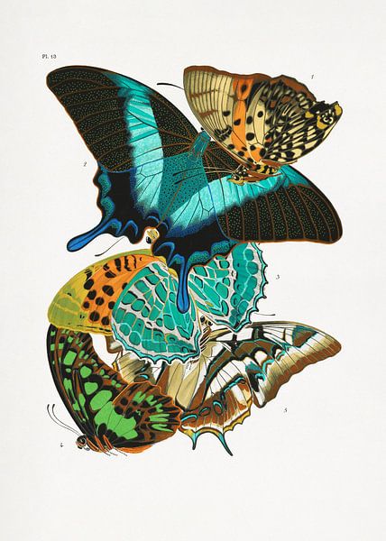 Butterflies 5 by Pictufy 