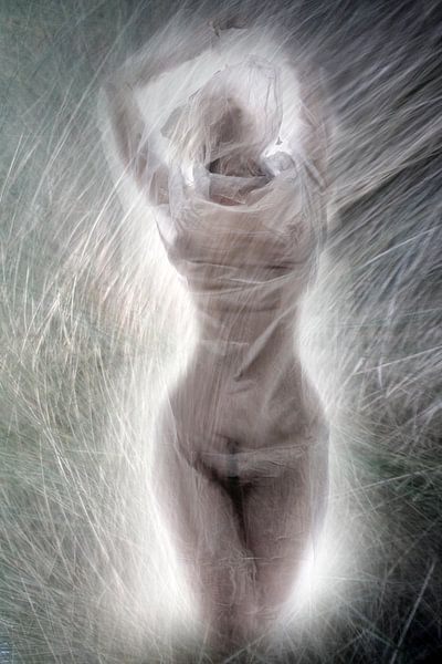 Grass whispers 1 by Fotokompost von Lichtgestalt