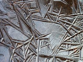 Art of Nature by M de Vos