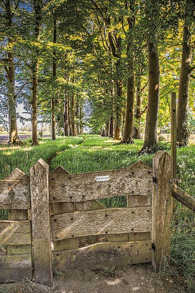 Fence Close sign on access to footpath between trees by Harrie Muis