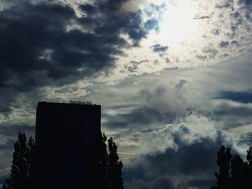 Scherenschnitt Erasmus MC