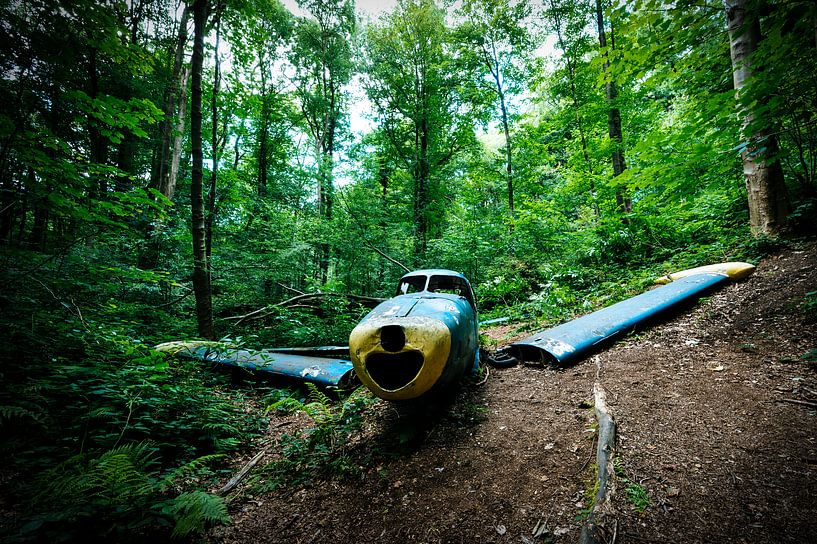 Blue airplane by Peter Deschepper