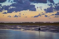 Platbodem op wad