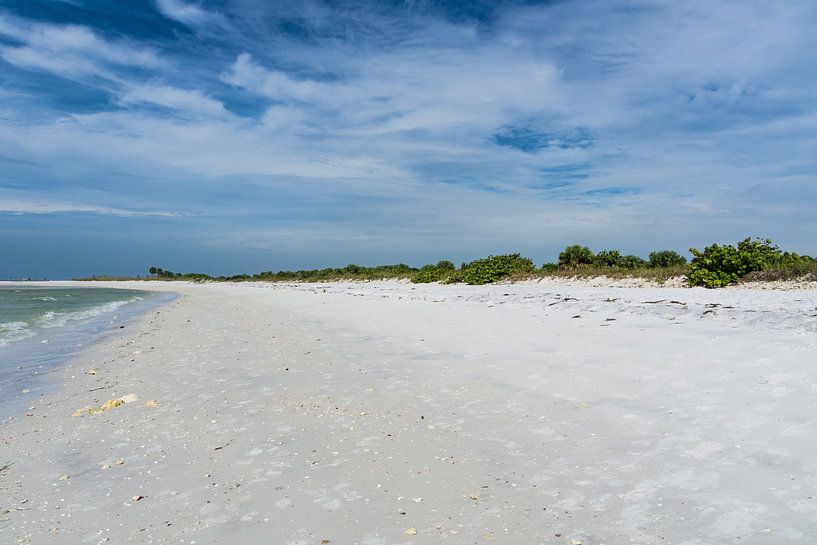 USA, Florida, Perfect empty white sand beach of honeymoon island by adventure-photos