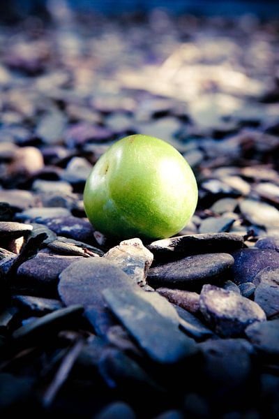 Apple I by Bram van Kattenbroek
