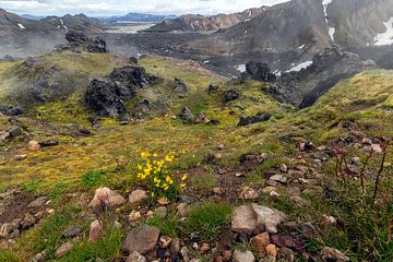 Lava, smoke, mountains and green...Iceland von Ab Wubben