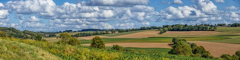 Panorama van de Fromberg in Zuid-Limburg van John Kreukniet