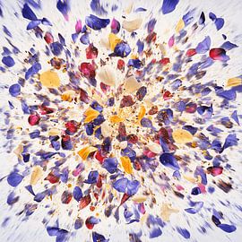 Botanische Explosion von Olaf Kramer