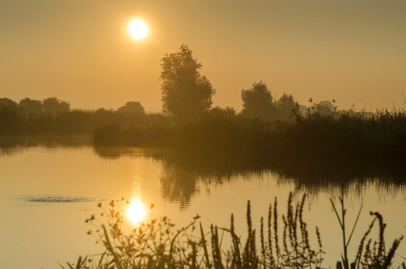Goldene Stunde in den Niederlanden von Mark Bolijn