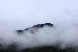 Mystische Voralpen von Thomas Jäger