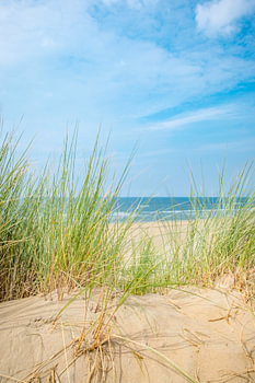 Blick von den Dünen auf den Nordseesandstrand