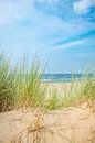 Uitzicht vanaf de duinen op het Noordzee zandstrand van Sjoerd van der Wal Fotografie thumbnail