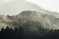 Brouillard dans les forêts et les montagnes autrichiennes