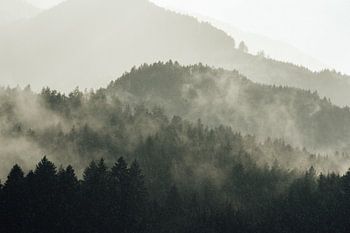 Brouillard dans les forêts et les montagnes autrichiennes
