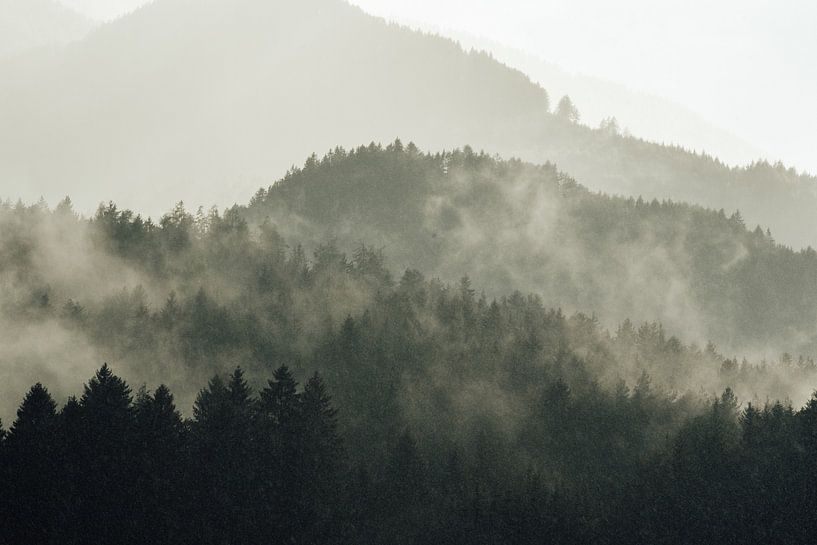 Brouillard dans les forêts et les montagnes autrichiennes par Karen Velleman