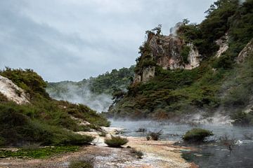 Waimangu thermische vallei, Nieuw Zeeland van Nynke Altenburg