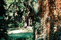 "Ivy elegance along the Wall in Herford" | Herford 09/2023