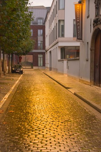 Pavés dorés à Louvain II