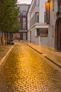 Gouden Kasseien in Leuven II van Manuel Declerck thumbnail