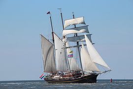 Gulden Leeuw by Rodney Pauwels