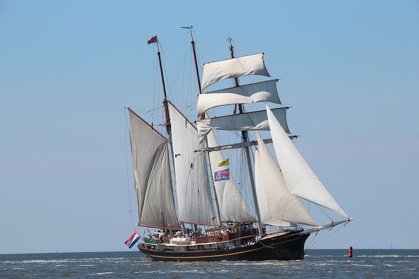 Gulden Leeuw par Rodney Pauwels