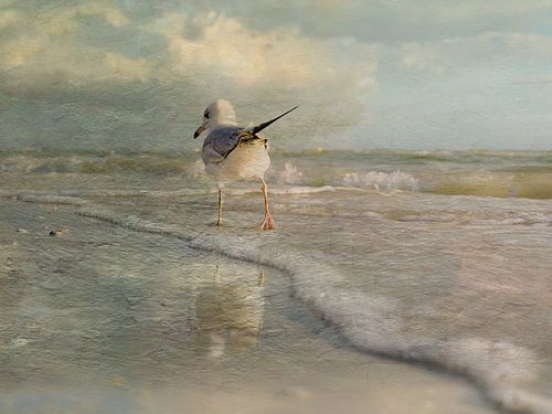 Ein Spaziergang am Strand.