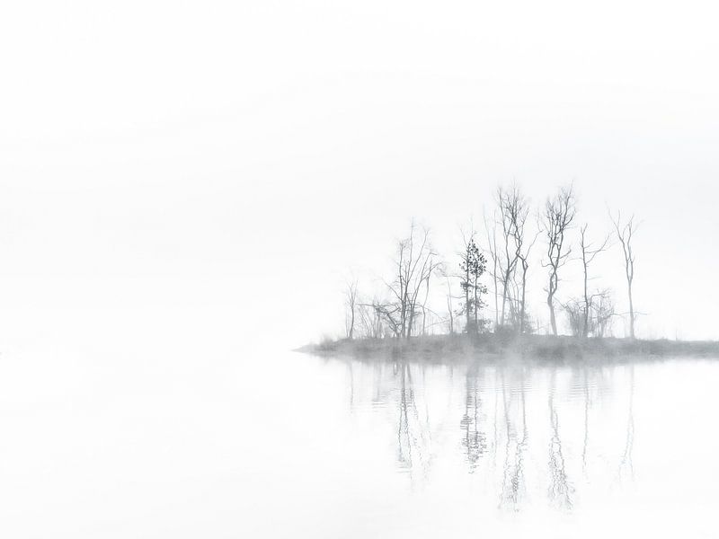 Misty mirror van Lex Schulte