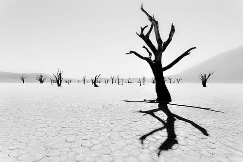 Remnants of the past