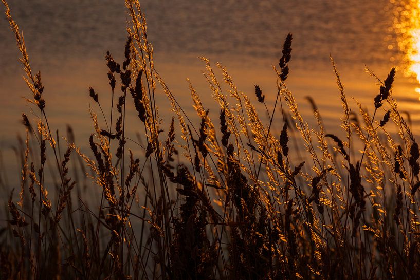 Sunset on the water by Laura Weijzig