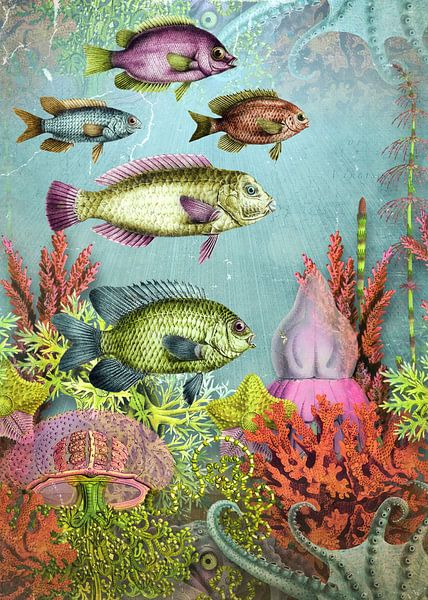 Sea Life in Unexpected Colours von Marja van den Hurk