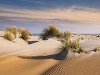 Sable ondulé dans les dunes