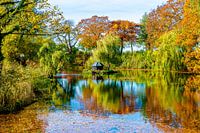 Duck hotel, Doesburg