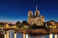 Notre-Dame kathedraal in Parijs van Thomas Rieger thumbnail