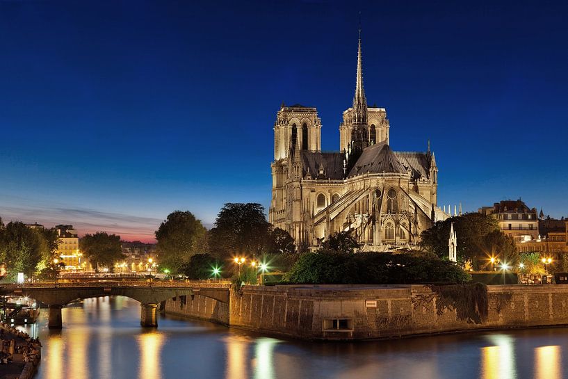 Notre-Dame kathedraal in Parijs van Thomas Rieger