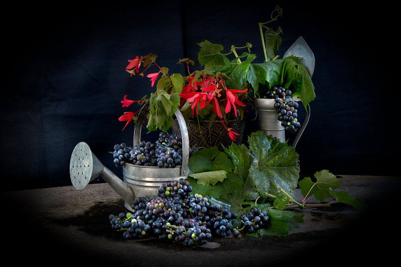 Nature morte avec arrosoir bleu, cruche en étain et raisins bleus par Marianne van der Zee