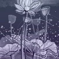 Lotus3 NIGHTVIBES