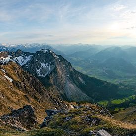Panoramablick vom Entschenkopf auf die Allgäuer Alpen