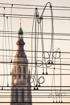 Breda On a Wire by JPWFoto
