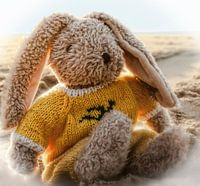Toy Rabbit on the beach