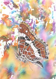 Map in a colourful environment