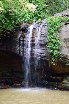 Buderim watervallen van Frank's Awesome Travels