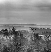Die Dünen im Nebel